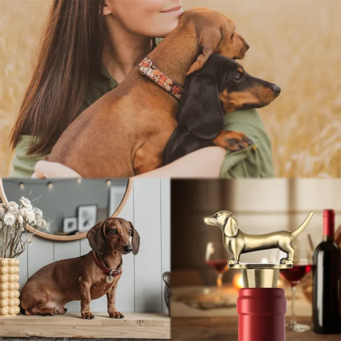 Wine Bottle Stoppers